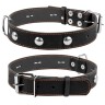Ошейник одинарный CoLLaR с украшением черный, кожа, Размер: L (47-62 см)