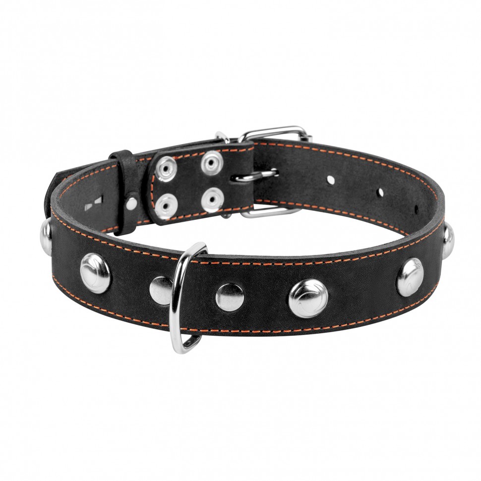 Ошейник одинарный CoLLaR с украшением черный, кожа, Размер: L (47-62 см)