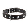 Ошейник одинарный CoLLaR с украшением черный, кожа, Размер: L (47-62 см)