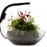 Аквариумный LED-светильник AquaLighter PicoSoft c гибким корпусом до 20 л, черный, OSRAM, 87651