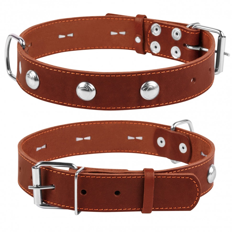 Ошейник одинарный CoLLaR с украшением коричневый, кожа, Размер: L (47-62 см)