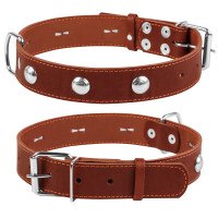 Ошейник одинарный CoLLaR с украшением коричневый, кожа, Размер: L (47-62 см)