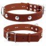 Ошейник одинарный CoLLaR с украшением коричневый, кожа, Размер: L (47-62 см)
