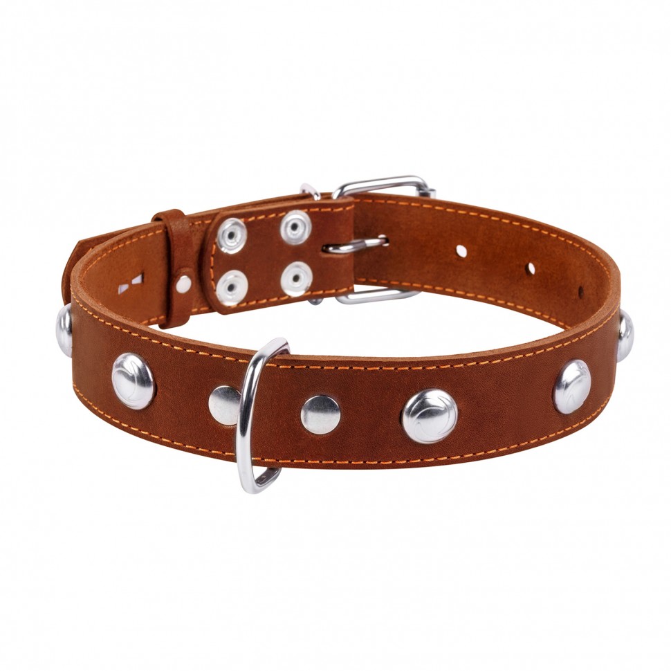 Ошейник одинарный CoLLaR с украшением коричневый, кожа, Размер: L (47-62 см)