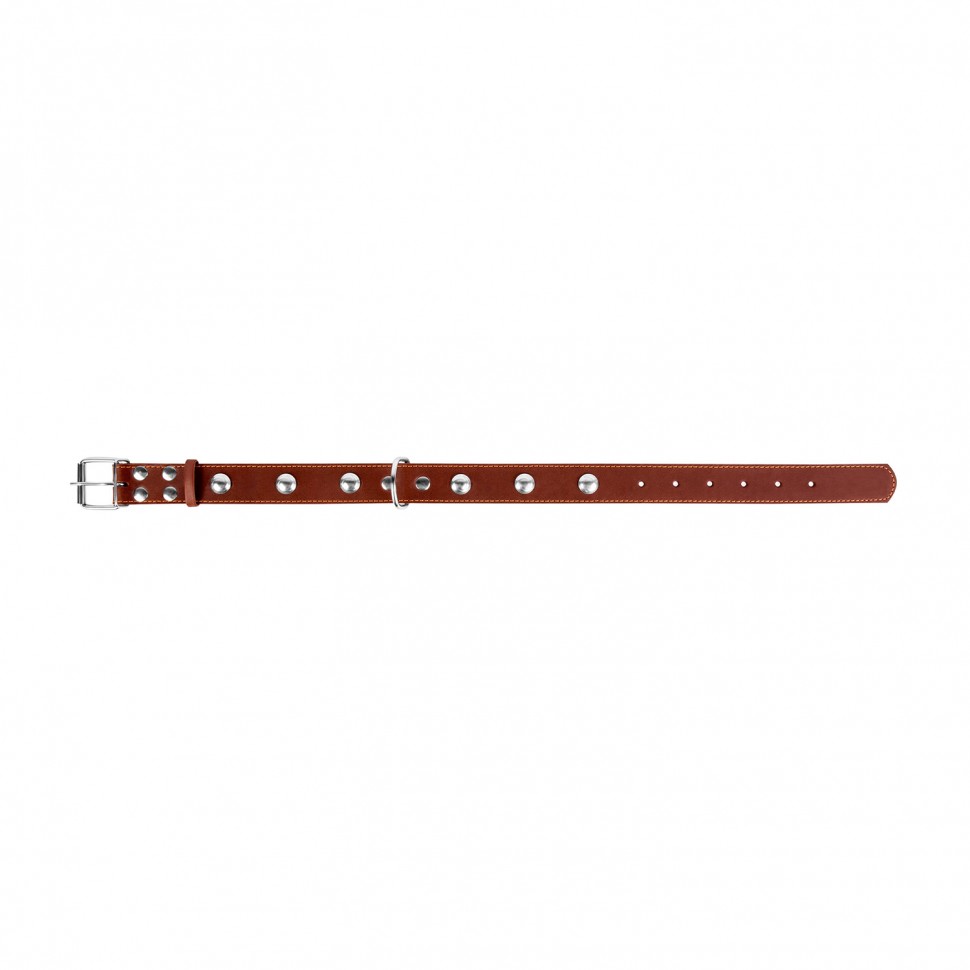 Ошейник одинарный CoLLaR с украшением коричневый, кожа, Размер: L (47-62 см)