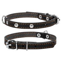 Ошейник одинарный CoLLaR с украшением  черный, кожа, Размер: xs (27-35 см)