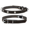 Ошейник одинарный CoLLaR с украшением  черный, кожа, Размер: xs (27-35 см)