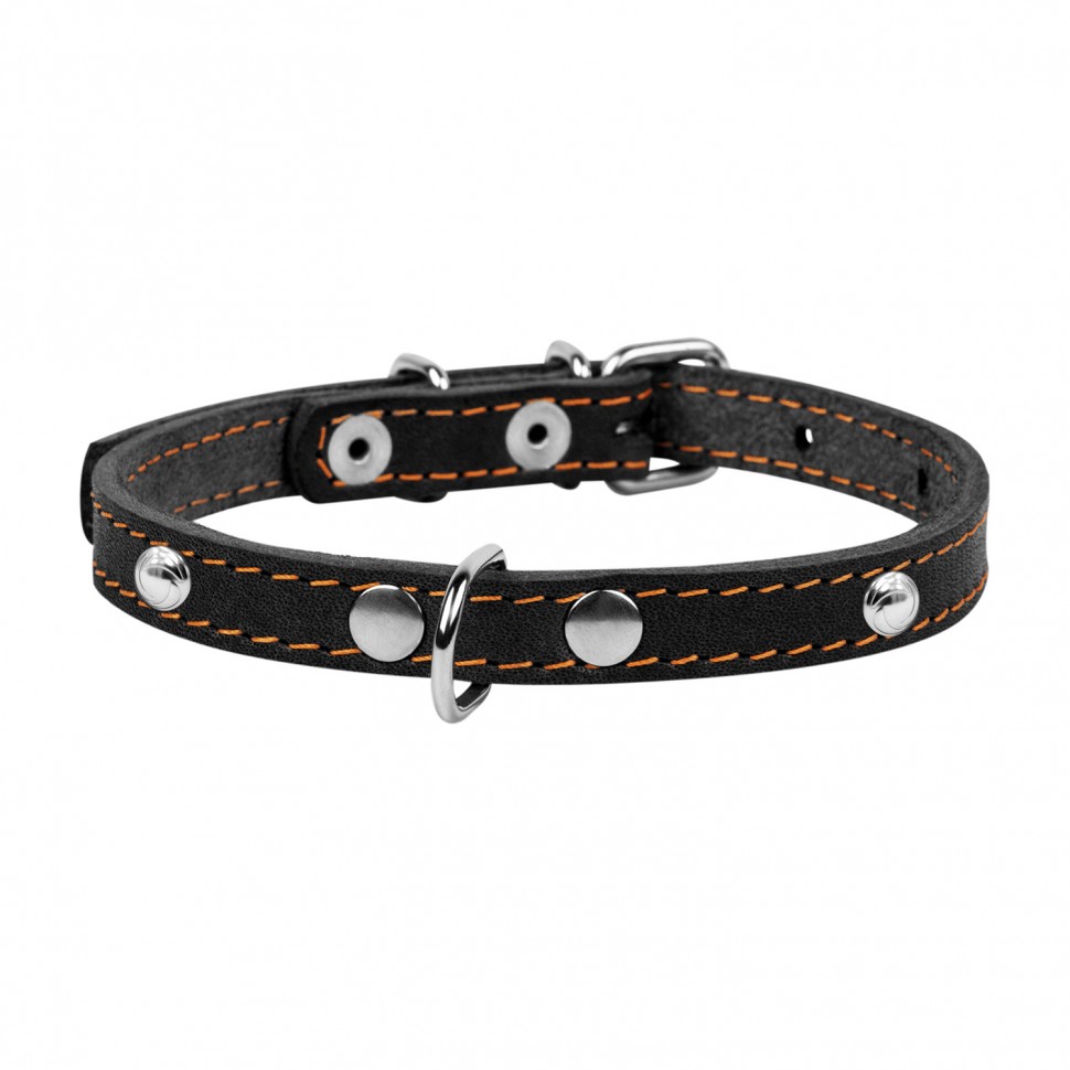 Ошейник одинарный CoLLaR с украшением  черный, кожа, Размер: xs (27-35 см)
