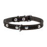 Ошейник одинарный CoLLaR с украшением  черный, кожа, Размер: xs (27-35 см)