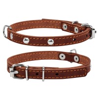 Ошейник одинарный CoLLaR с украшением  коричневый, кожа, Размер: xs (27-35 см)