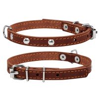 Ошейник одинарный CoLLaR с украшением  коричневый, кожа, Размер: xs (27-35 см)