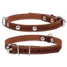 Ошейник одинарный CoLLaR с украшением  коричневый, кожа, Размер: xs (27-35 см)
