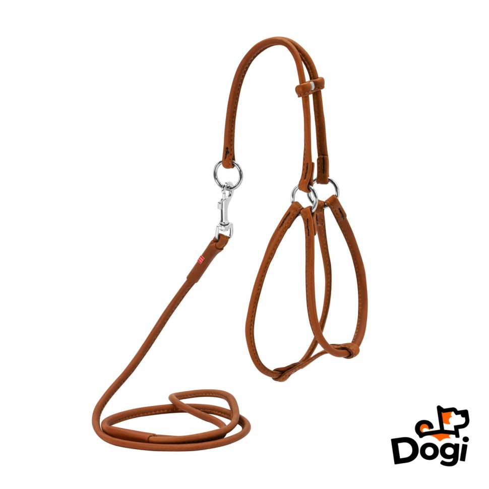 Шлея круглая WAUDOG Soft с поводком для кошек и мелких собак Коричневый, кожа, Обхват груди 43-51 см