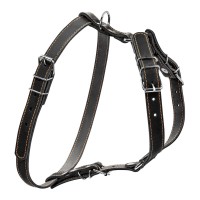 Шлея одинарная CoLLaR для мелких и средних собак черный, кожа, Обхват груди 69-81 см