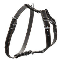 Шлея одинарная CoLLaR для мелких и средних собак черный, кожа, Обхват груди 69-81 см