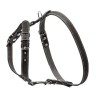 Шлея одинарная CoLLaR для мелких и средних собак черный, кожа, Обхват груди 69-81 см
