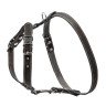 Шлея одинарная CoLLaR для мелких и средних собак черный, кожа, Обхват груди 69-81 см