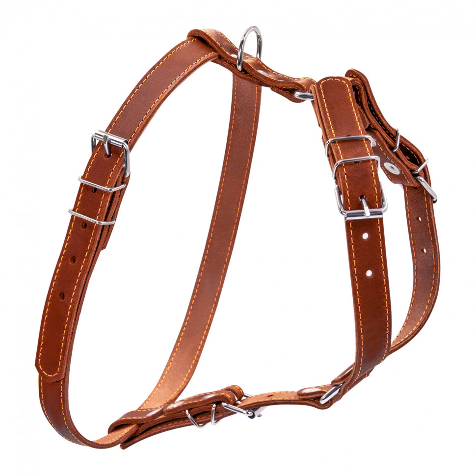 Шлея одинарная CoLLaR для мелких и средних собак коричневый, кожа, Обхват груди 69-81 см