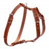 Шлея одинарная CoLLaR для мелких и средних собак коричневый, кожа, Обхват груди 69-81 см