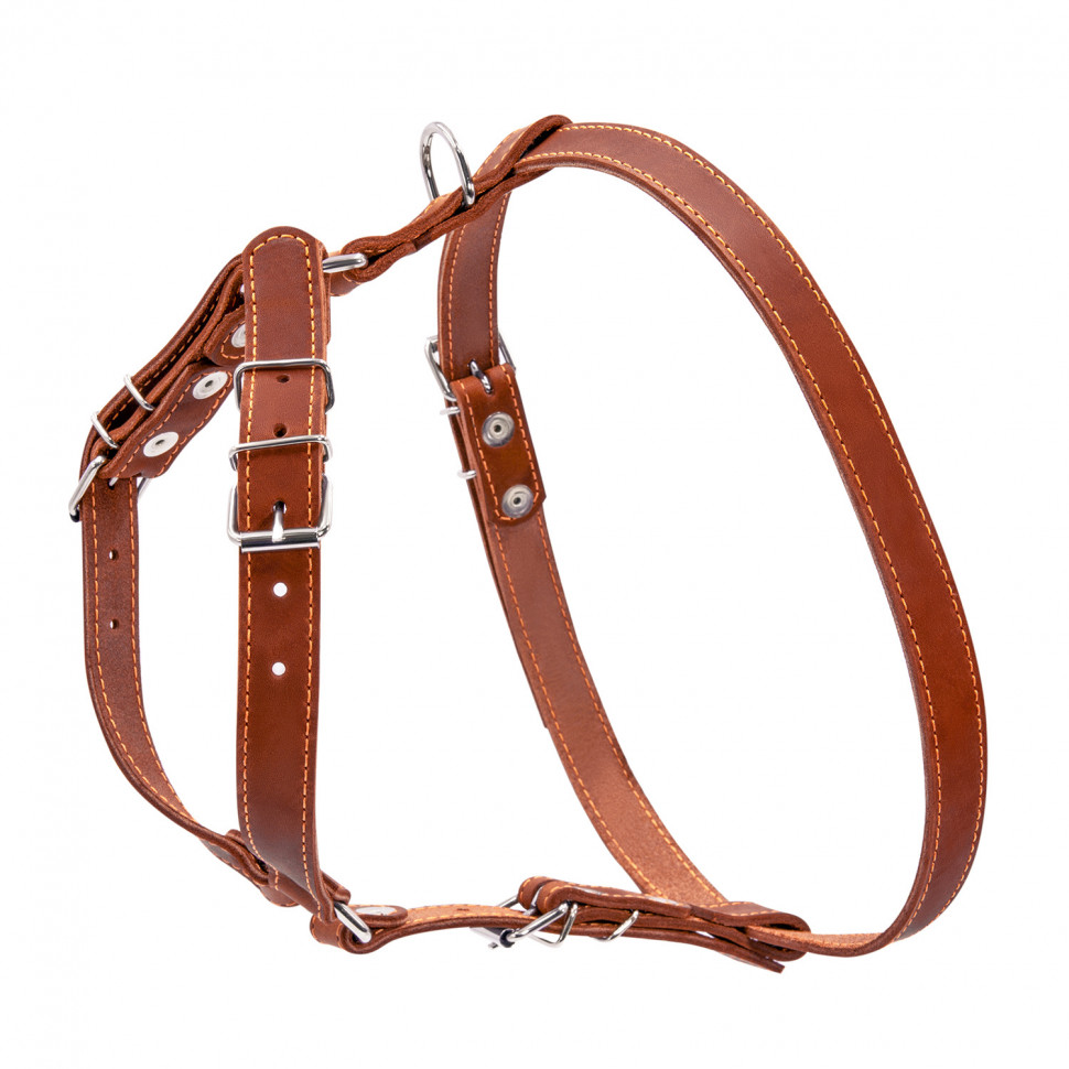 Шлея одинарная CoLLaR для мелких и средних собак коричневый, кожа, Обхват груди 69-81 см