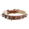 Ошейник WAUDOG Soft с шипами, коричневый верх Коричневый, кожа, Размер: L (46-60 см)