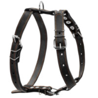 Шлея одинарная CoLLaR для средних собак черный, кожа, Обхват груди 40-55 см