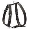 Шлея одинарная CoLLaR для средних собак черный, кожа, Обхват груди 40-55 см