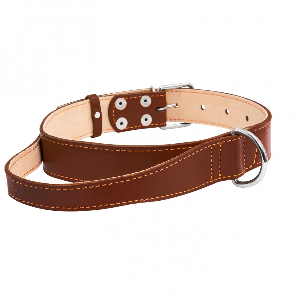Ошейник CoLLaR двойной с ручкой  Коричневый, кожа, Размер: L ( см)