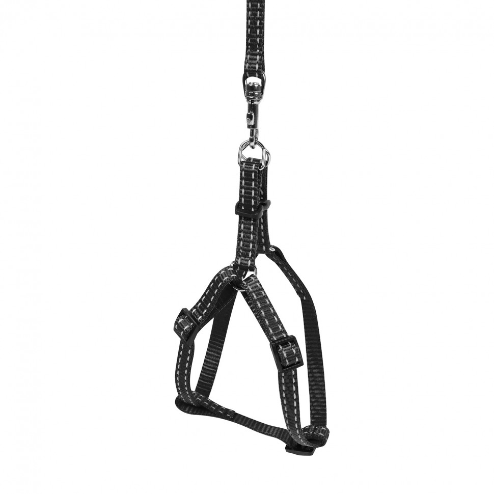 Шлея с поводком  DOG Extreme черный, нейлон, Обхват груди 12-22 см