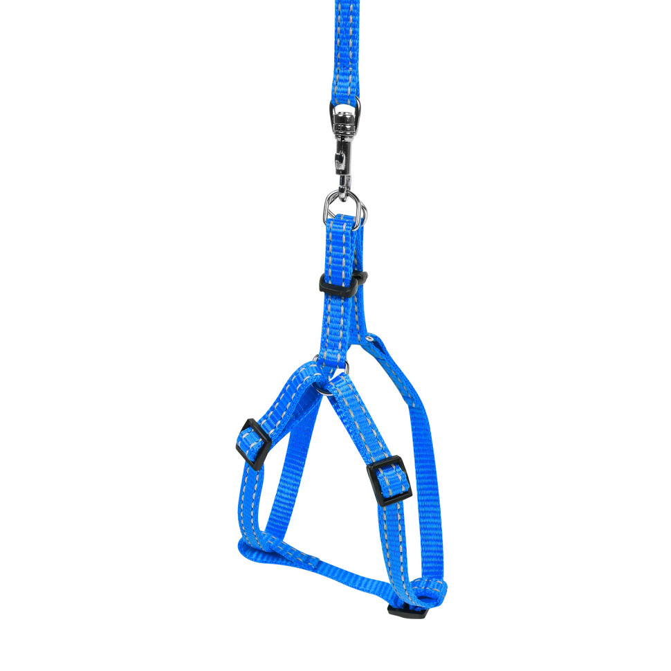 Шлея с поводком  DOG Extreme синий, нейлон, Обхват груди 12-22 см