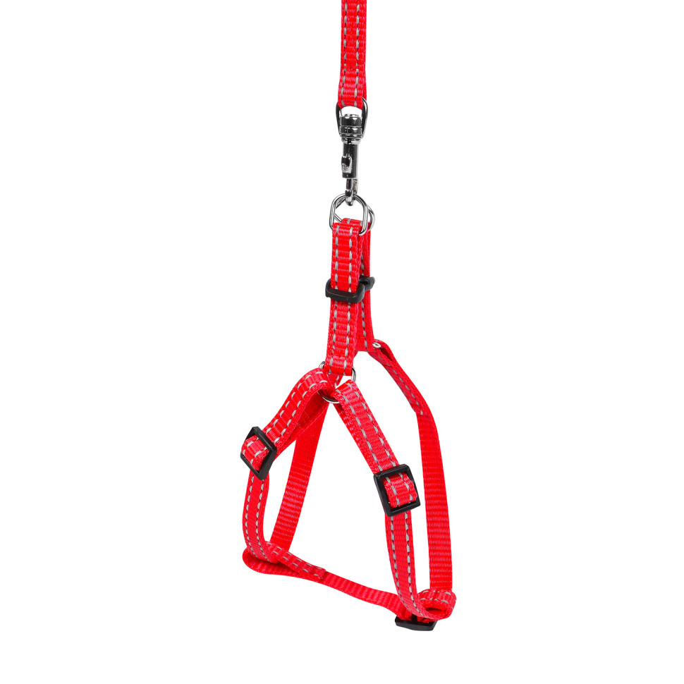 Шлея с поводком  DOG Extreme красный, нейлон, Обхват груди 24-27 см