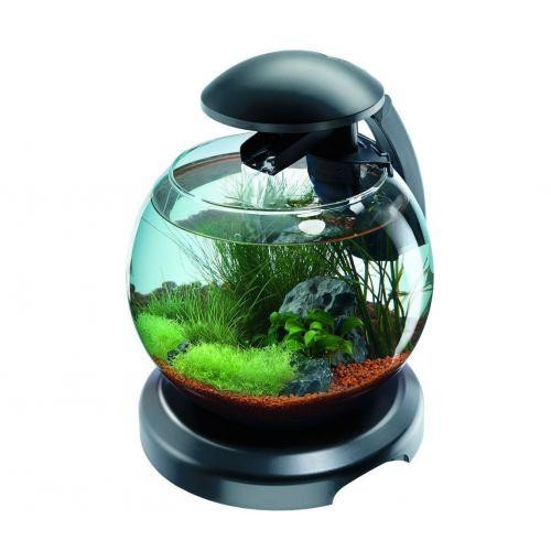 Tetra Аквариум Cascade Globe 6,8L ЧЕРНЫЙ д/петушка и зол.рыбки