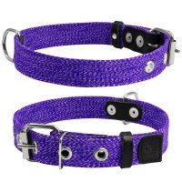 Ошейник CoLLaR х/б тесьма Фиолетовый, брезент, Размер: S (31-41 см)