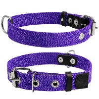Ошейник CoLLaR х/б тесьма Фиолетовый, брезент, Размер: M (41-53 см)