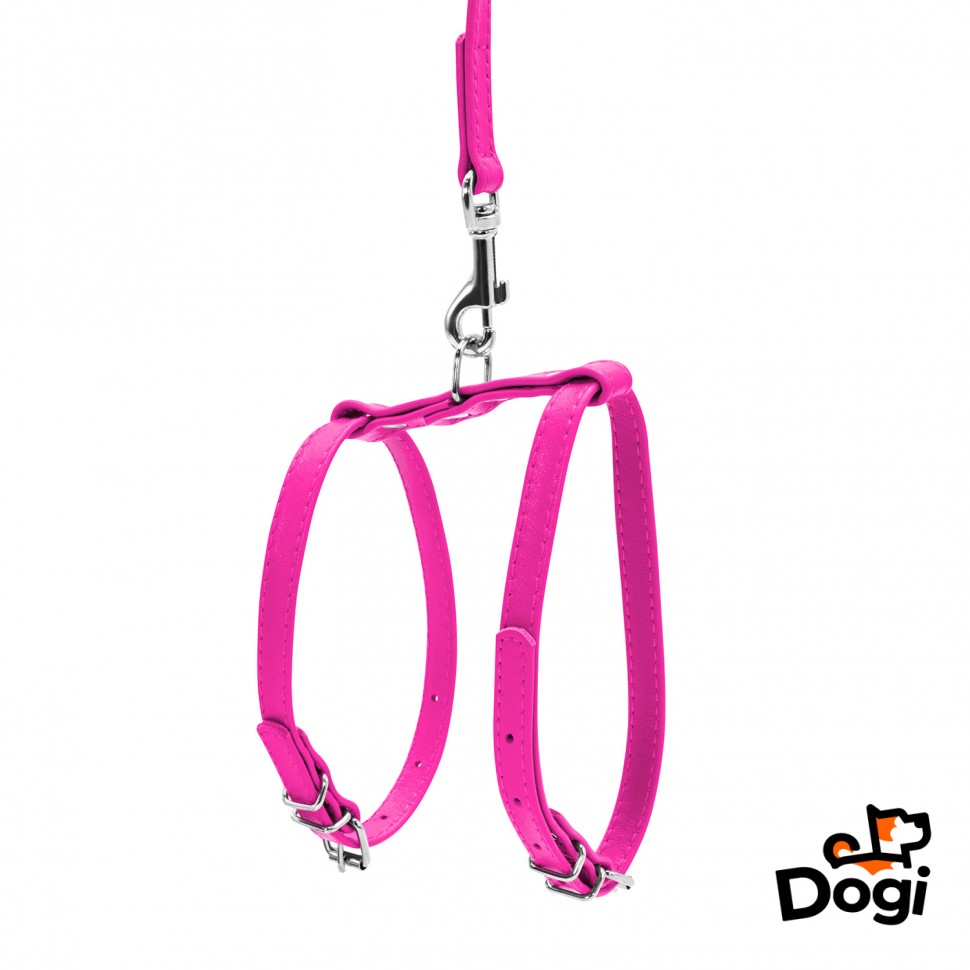 Шлея WAUDOG Glamour с поводком для кошек и мелких собак Розовый, кожа, Обхват груди 55-65 см