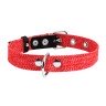 Ошейник CoLLaR х/б тесьма Красный, брезент, Размер: L (51-63 см)