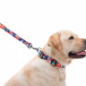Поводок WAUDOG Nylon, рисунок  "Витраж" Разноцветый, нейлонS (122 см)
